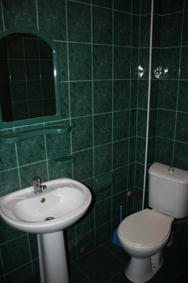 Firuza Hostel Borjomi Eksteriør billede